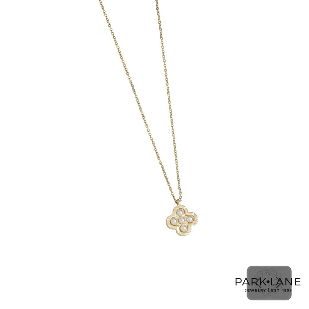 Park Lane “Praline” Necklace! BNIB!!